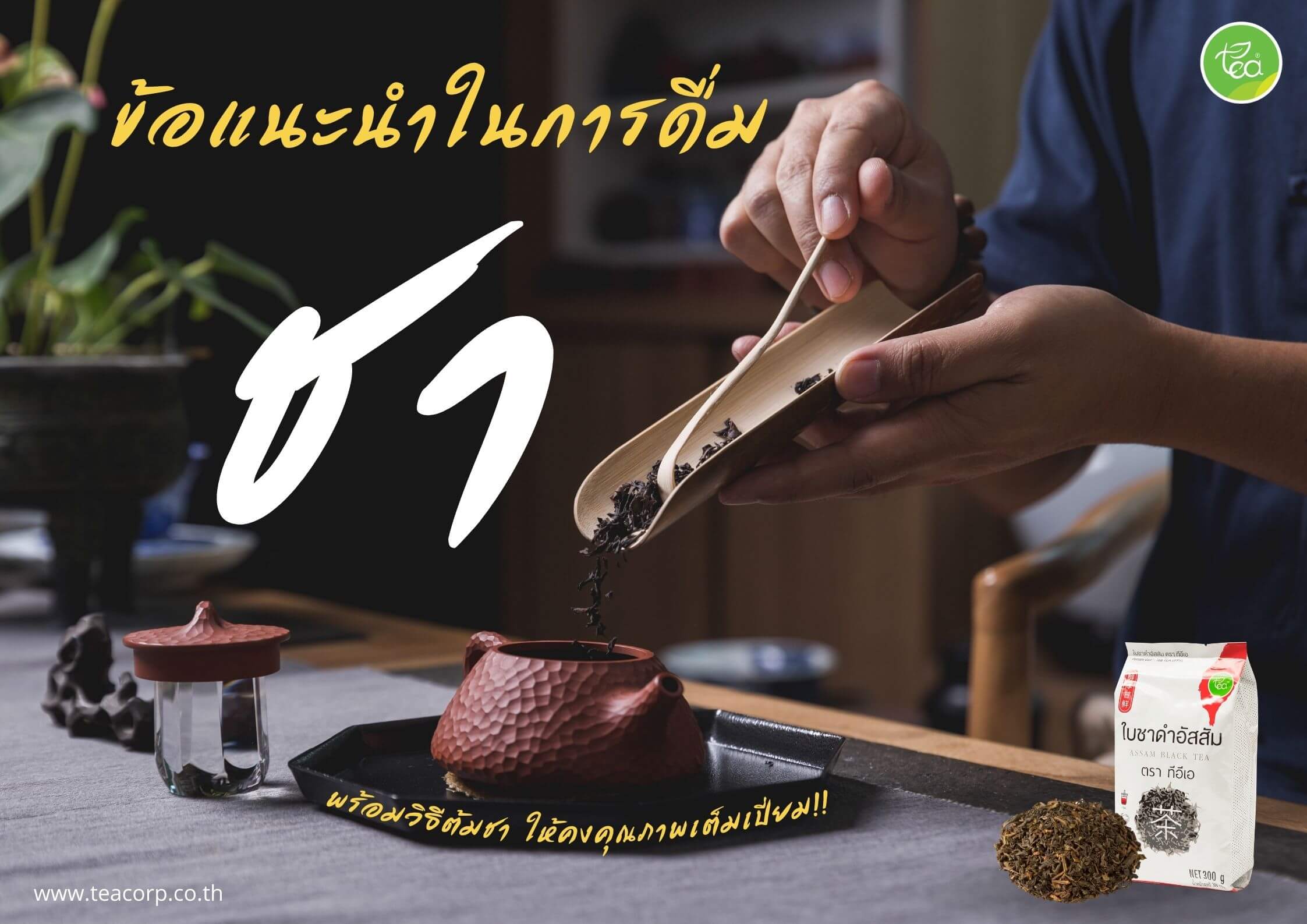 ข้อแนะนำในการดื่มชา ชาดำ ( Black tea ) ชาเพื่อสุขภาพ พร้อมวิธีต้มชา ให้คงคุณภาพเต็มเปี่ยม